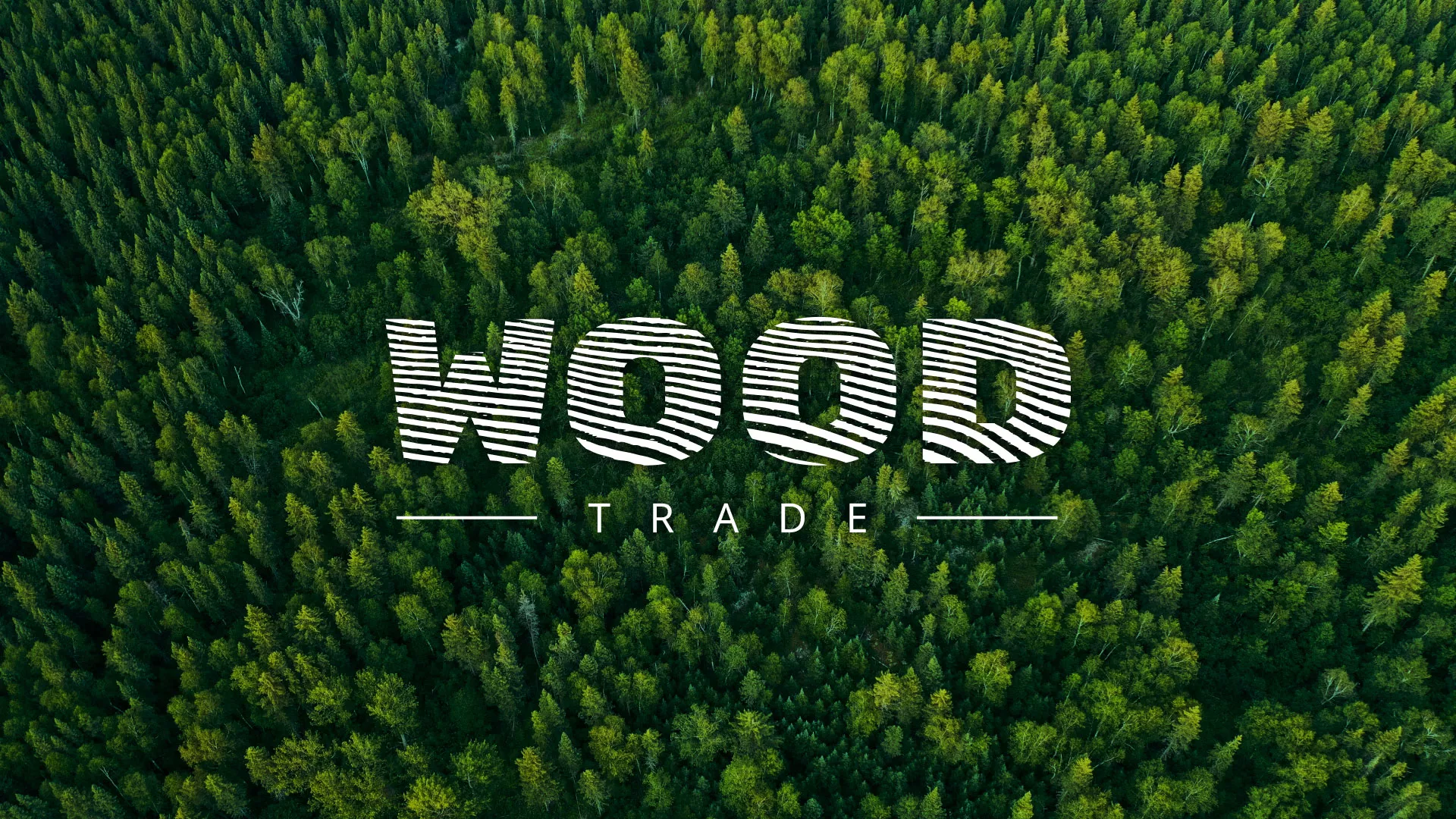 Разработка интернет-магазина компании «Wood Trade» в Ясногорске